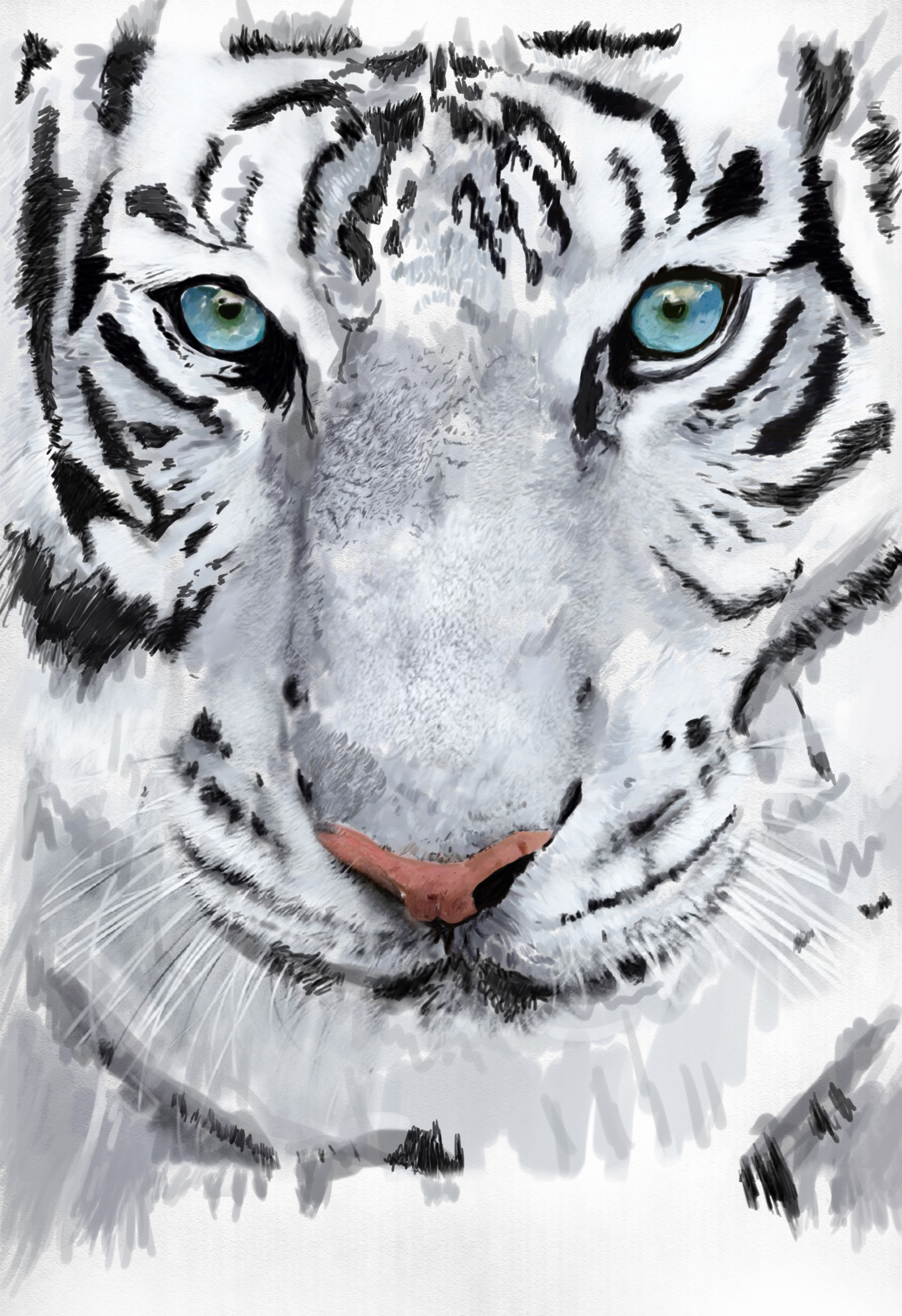 Animal 2