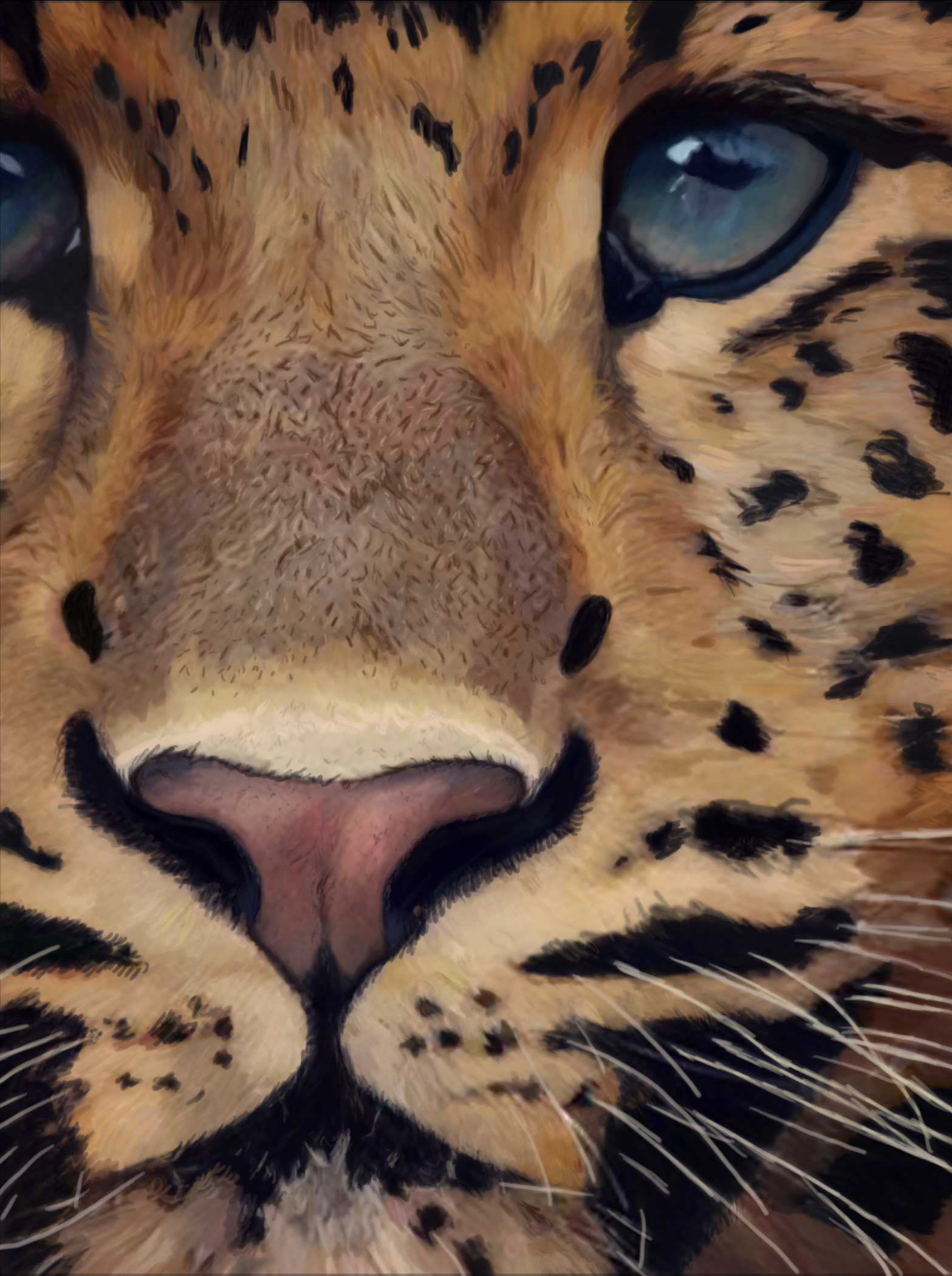 Animal 4