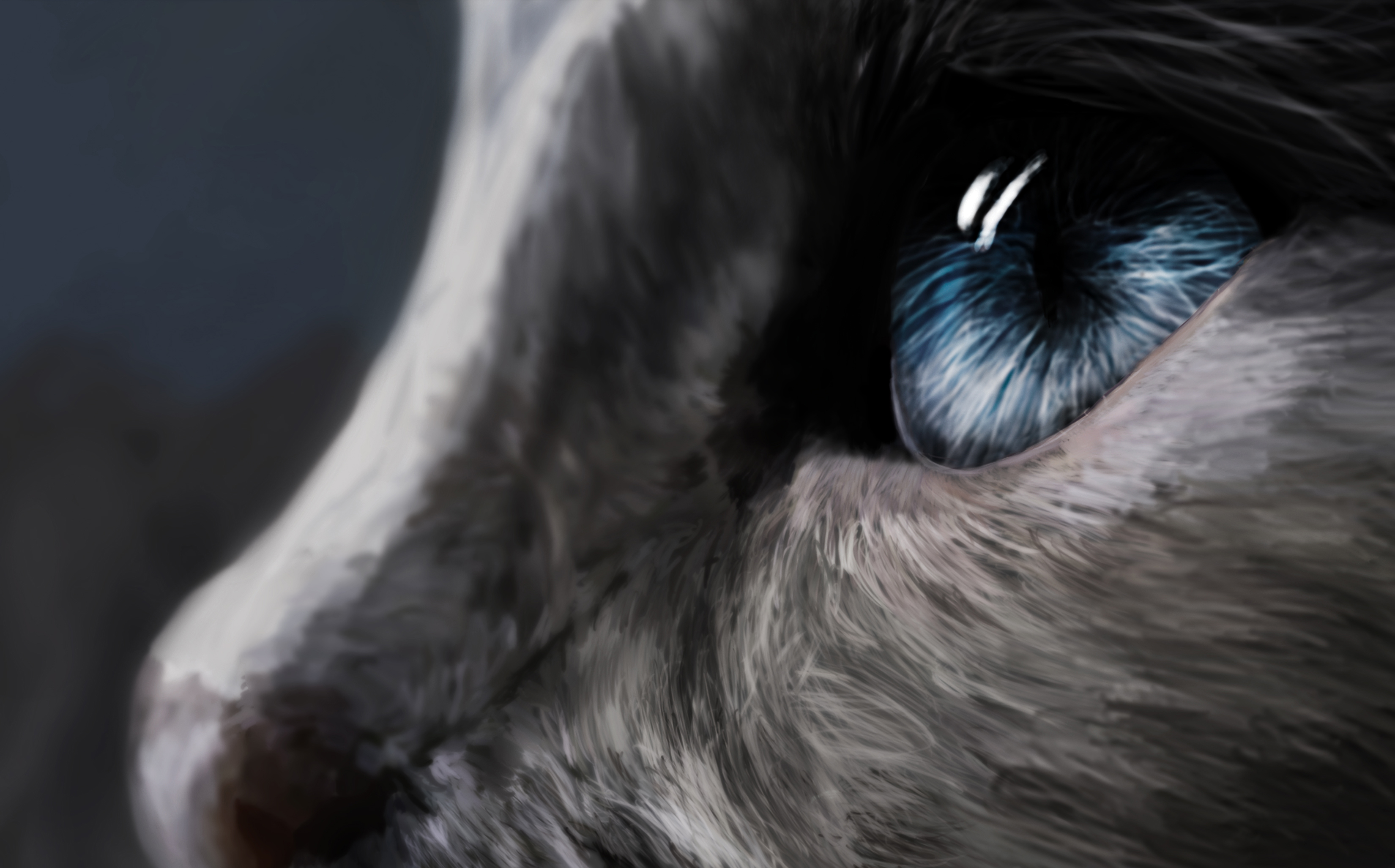 Animal1